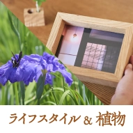 ライフスタイル＆植物